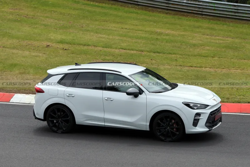 Энтузиасты: Cupra выпускает cousin более 320 л.с.