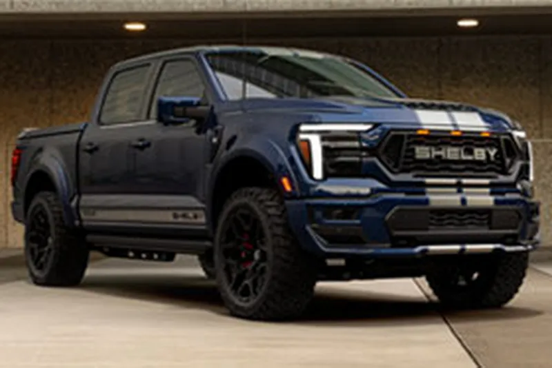 Выбор цвета и отделка полос Shelby F-150